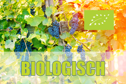 Kroatische biologische wijn