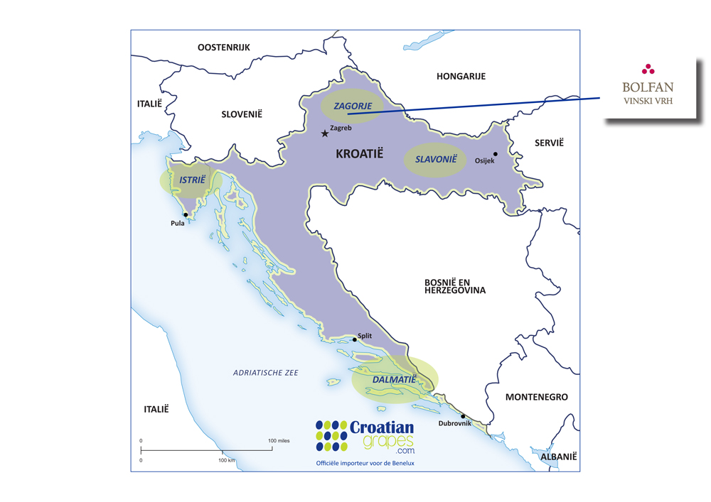 Bolfan wijn uit kroatie