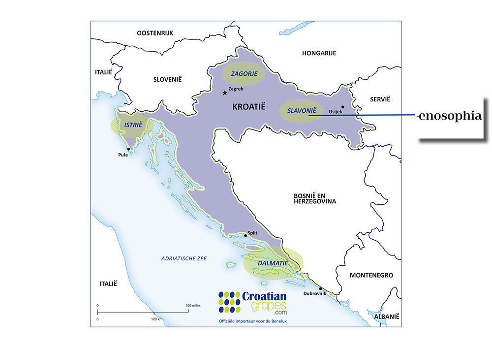 Enosophia wijn uit kroatie