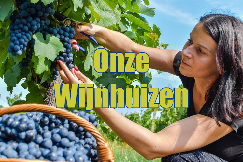 Onze Wijnhuizen