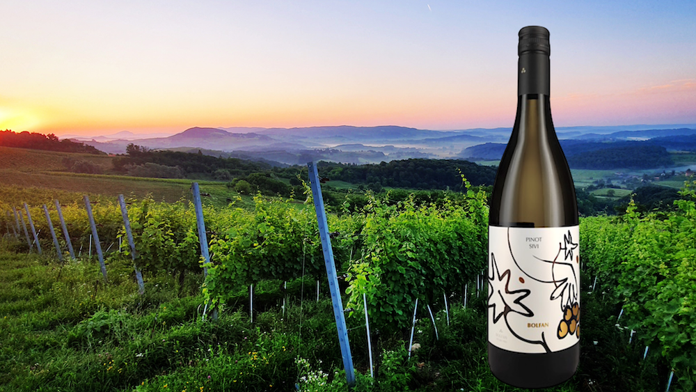 Pinot Sivi